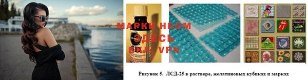 индика Краснотурьинск