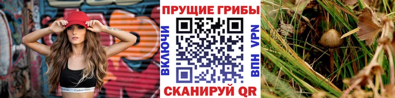 Галлюциногенные грибы мухоморы Новоалександровск