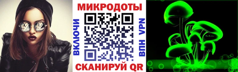 Псилоцибиновые грибы Psilocybe  даркнет сайт  Новоалександровск 